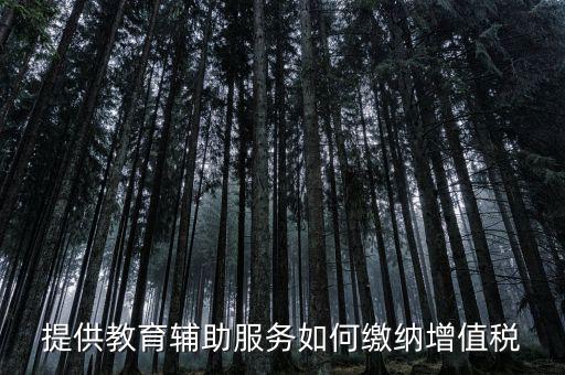 教育輔助服務(wù)包括什么，教育咨詢服務(wù)包括代理招生嗎
