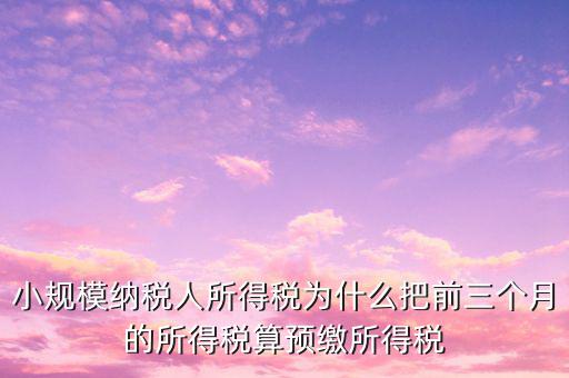 為什么會(huì)有預(yù)繳所得稅，我企業(yè)是今年1月被稅局核定按收入繳納企業(yè)所得稅 為什么第一季度報(bào)