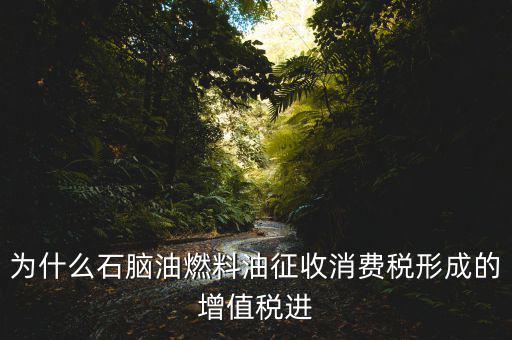 為什么石腦油燃料油征收消費稅形成的增值稅進(jìn)