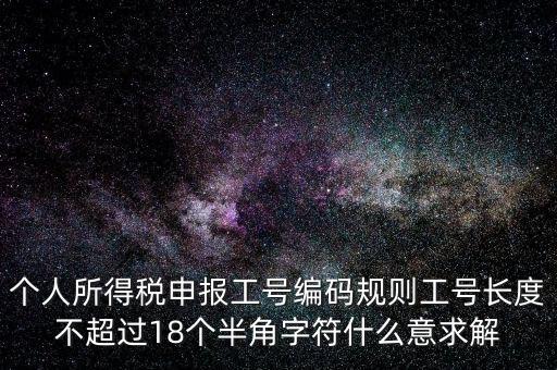 個(gè)人所得稅申報(bào)工號(hào)編碼規(guī)則工號(hào)長度不超過18個(gè)半角字符什么意求解