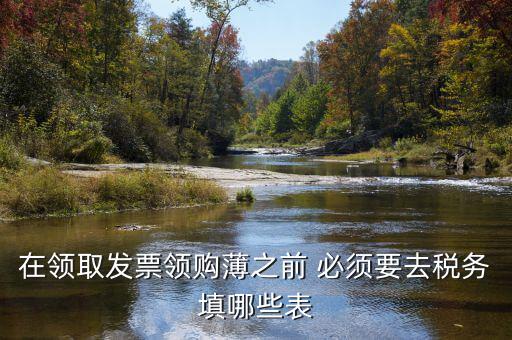 在領(lǐng)取發(fā)票領(lǐng)購薄之前 必須要去稅務填哪些表