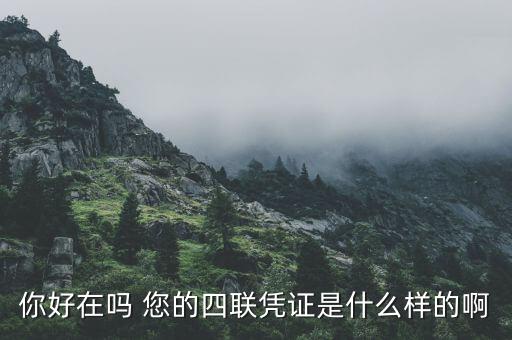 汽車四聯發(fā)票是什么樣，你好在嗎 您的四聯憑證是什么樣的啊