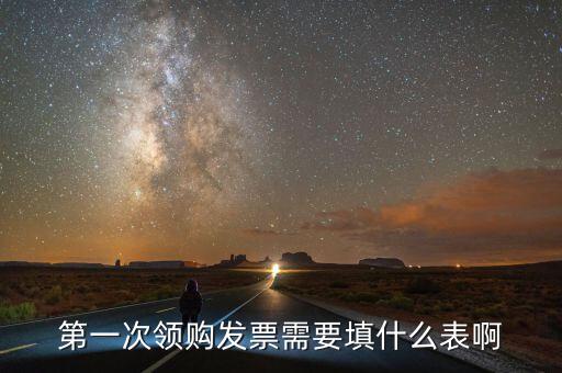 領(lǐng)發(fā)票去要填寫什么表，一般納稅人第一次領(lǐng)取發(fā)票時(shí)填什么表