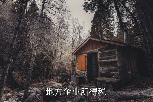 地方企業(yè)所得稅是什么，地方所得稅