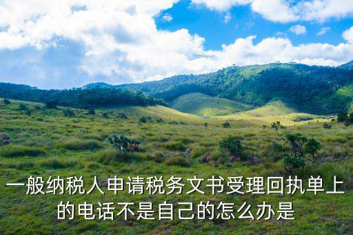 納稅文書(shū)受理是什么，陜西電子稅務(wù)局 文書(shū)受理 在哪看