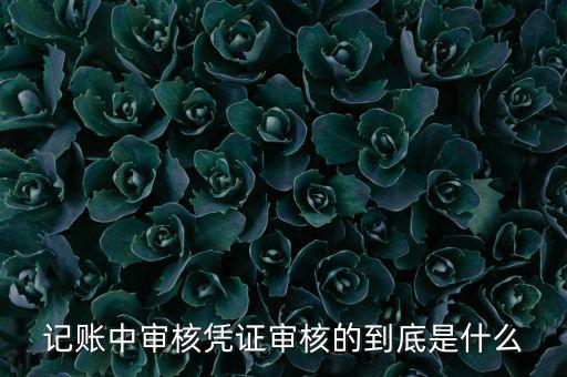 什么是抵扣憑證審核，記賬中審核憑證審核的到底是什么