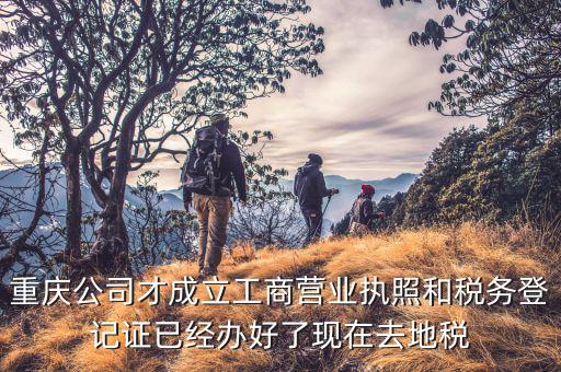 重慶公司才成立工商營業(yè)執(zhí)照和稅務登記證已經辦好了現在去地稅