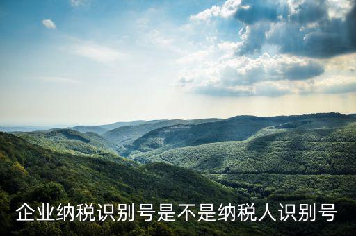 公司納稅識(shí)別號(hào)是什么，納稅人識(shí)別號(hào)是什么