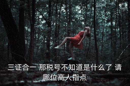 三證合一后的發(fā)票稅號(hào)是什么意思，三證合一 那稅號(hào)不知道是什么了 請(qǐng)哪位高人指點(diǎn)