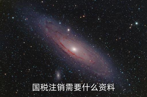國(guó)稅注銷需要什么資料