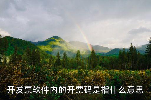 手工發(fā)票代碼什么意思，請(qǐng)問(wèn)我發(fā)票代碼第8位9位分別是BK是什么意思