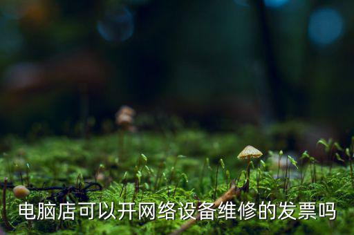 電腦店可以開(kāi)網(wǎng)絡(luò)設(shè)備維修的發(fā)票嗎