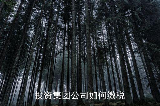 投資公司交什么稅2017，投資集團(tuán)公司如何繳稅