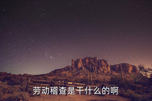 稽查是什么工作，勞動稽查是干什么的啊
