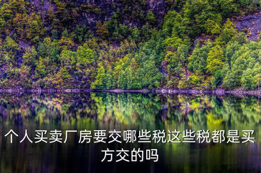 個(gè)人買(mǎi)賣(mài)廠房要交哪些稅這些稅都是買(mǎi)方交的嗎