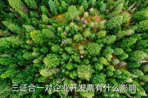 稅務(wù)三合一有什么好處，三合一后舊發(fā)票章能用嗎