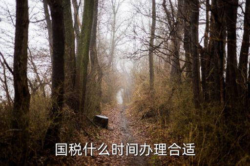 國稅局申請什么時候好，國稅什么時間辦理合適
