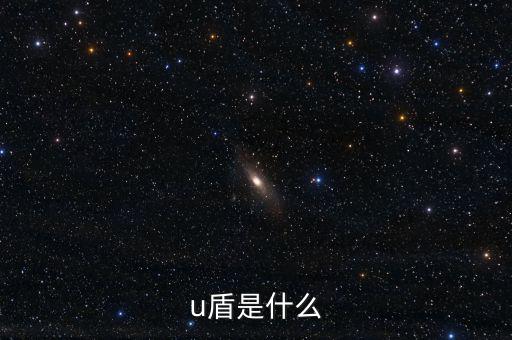 對(duì)外支付是什么，u盾是什么