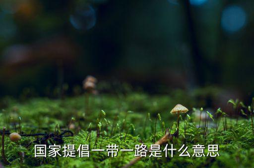 國(guó)稅一帶一路什么意思，一帶一路指什么意思