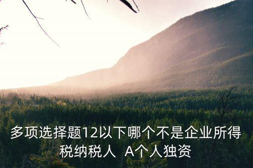 什么納稅人，多項(xiàng)選擇題12以下哪個(gè)不是企業(yè)所得稅納稅人  A個(gè)人獨(dú)資