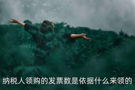 為什么領票人是納稅人，發(fā)票領購簿上的章子與納稅人名稱不一樣是怎么回事