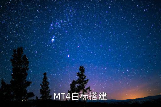 稅務(wù)系統(tǒng)為什么進行容災(zāi)建設(shè)，小微企業(yè)該購買什么樣的服務(wù)器涉及生產(chǎn)倉儲銷售和財務(wù)等  搜