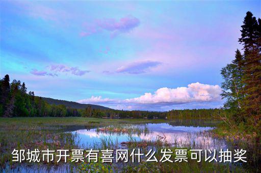 發(fā)票兌獎用什么軟件，現(xiàn)在餐飲發(fā)票想?yún)⒓佣纬楠剳?yīng)該怎么做呀