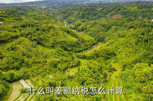 差額計(jì)稅什么意思，什么叫差額納稅怎么計(jì)算