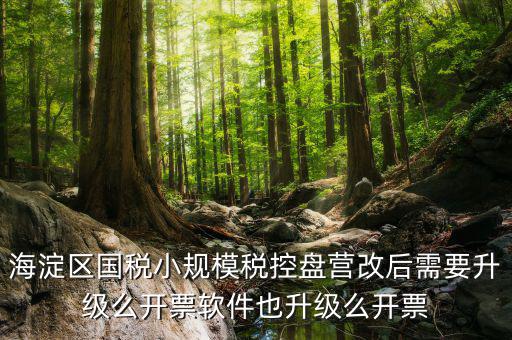 稅控盤為什么要升級，稅控盤鎖了找稅務(wù)專管員處理了說拿回來要升級一下怎么升級
