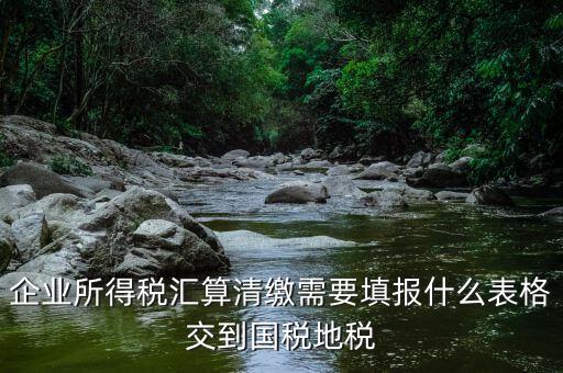 匯算清繳填寫什么表格，請教關(guān)于企業(yè)所得稅匯算清繳中需要填寫的表格的一些問題