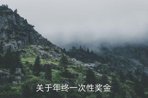 年終一次性獎(jiǎng)金是什么，關(guān)于年終一次性獎(jiǎng)金