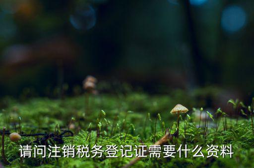 請(qǐng)問(wèn)注銷稅務(wù)登記證需要什么資料