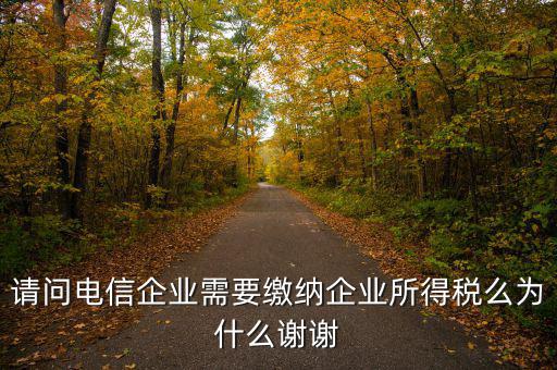 電信服務交什么稅，請問電信企業(yè)需要繳納企業(yè)所得稅么為什么謝謝