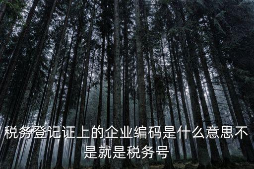 稅務(wù)編碼是什么意思，稅務(wù)登記證上的企業(yè)編碼是什么意思不是就是稅務(wù)號