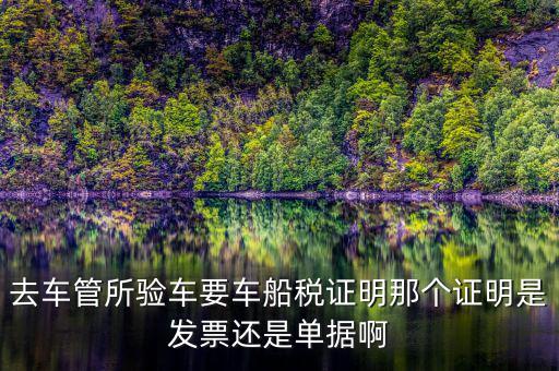 車船納稅證明是什么，車船稅證明是什么是購置稅嗎