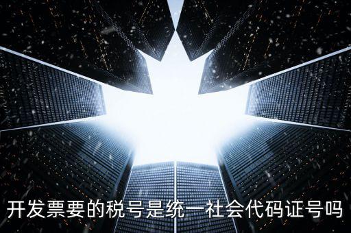 開發(fā)票要的稅號是統(tǒng)一社會(huì)代碼證號嗎