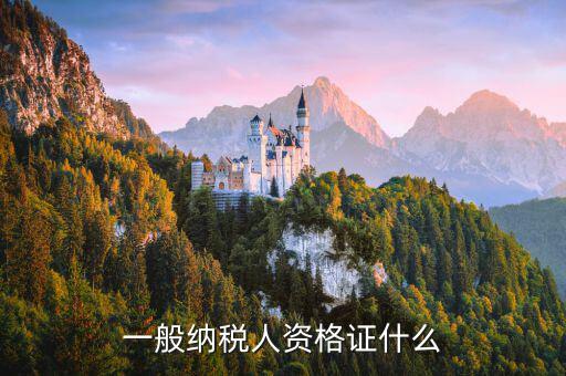 什么是一般納稅人證明，一般納稅人資格證什么