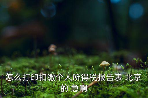 北京打印個(gè)稅需要什么資料，怎么打印扣繳個(gè)人所得稅報(bào)告表 北京的 急啊
