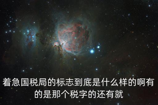 稅優(yōu)識別碼是什么樣的，納稅人辨認(rèn)號和代碼是1樣的