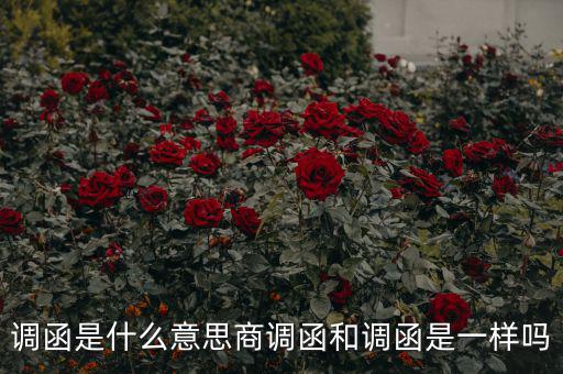 國(guó)稅調(diào)函是什么意思，國(guó)稅要來(lái)函條是怎么回事啊