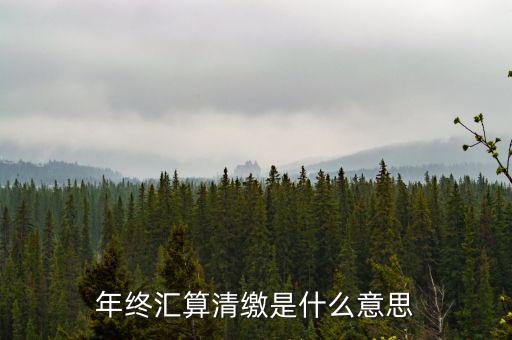 什么是企業(yè)匯算清繳，為什么年底要進(jìn)行企業(yè)所得匯算清繳