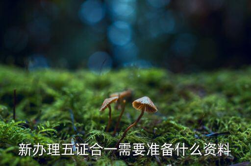 稅務(wù)五證合一需要什么資料，五證合一后稅務(wù)變更需要什么資料
