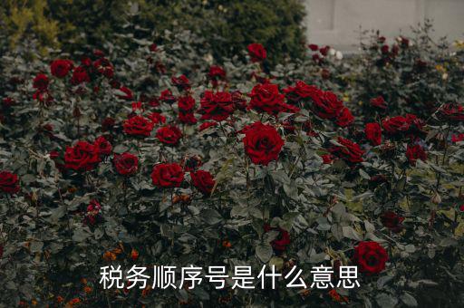 成都稅務號是什么意思，四川省國稅編號開頭幾位數(shù)是什么