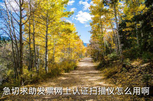 CA登陸可以開(kāi)什么票，京東上什么可以開(kāi)增值稅專用發(fā)票