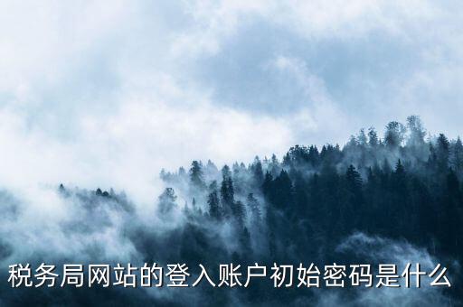 國(guó)稅網(wǎng)上登陸密碼是什么，稅務(wù)局網(wǎng)站的登入賬戶初始密碼是什么