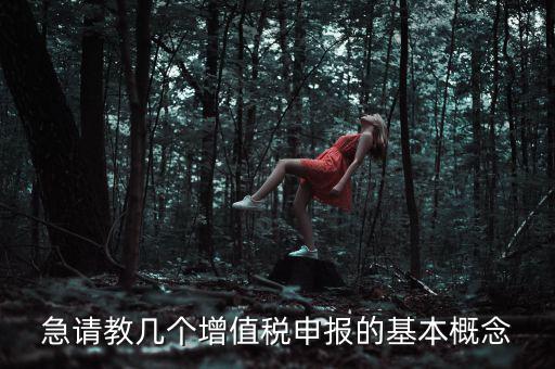 增值稅申報是什么意思，增值稅申報什么意思