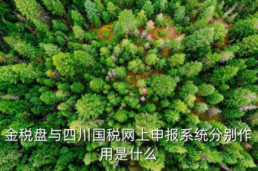 金稅盤的作用是什么，請問現(xiàn)在國稅局換的金稅盤主要的作用是什么