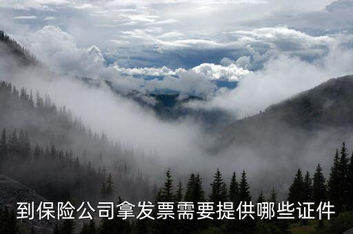 保險(xiǎn)開專票需要什么資料，中國(guó)人壽保險(xiǎn)打發(fā)票要什么手續(xù)