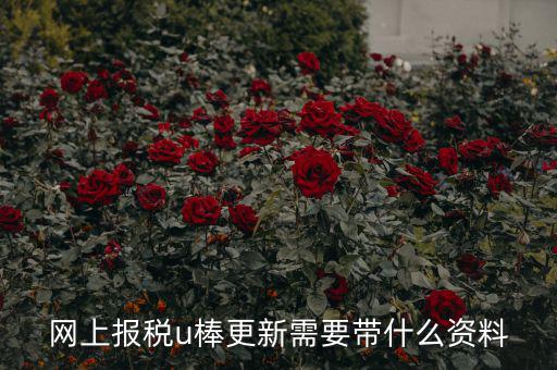 稅務(wù)u棒長(zhǎng)什么樣，網(wǎng)上報(bào)稅u棒更新需要帶什么資料
