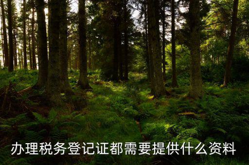 辦理稅務(wù)登記需要什么資料，辦理稅務(wù)登記證都需要提供什么資料